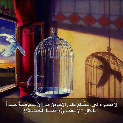الظل والحقيقة