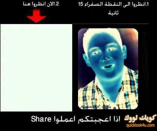 جامدة