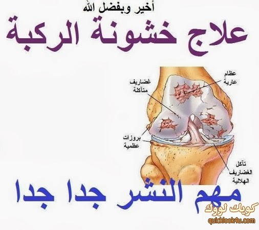 ركبة