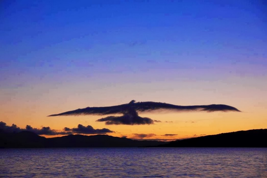 Eagle shaped clouds in sky