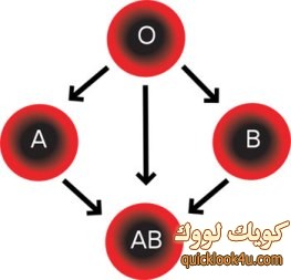 الدم