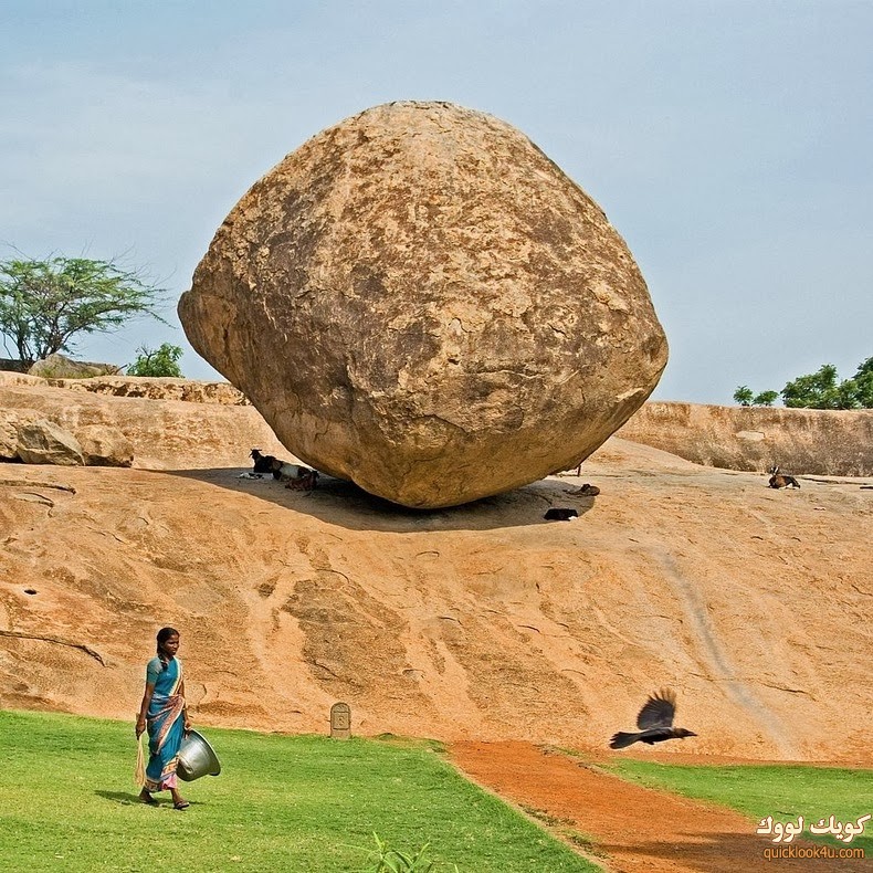 krishnas-butterball-10[6]