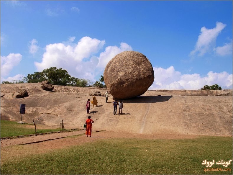 krishnas-butterball-2[2]