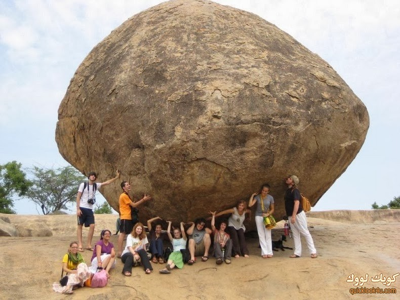 krishnas-butterball-6[2]