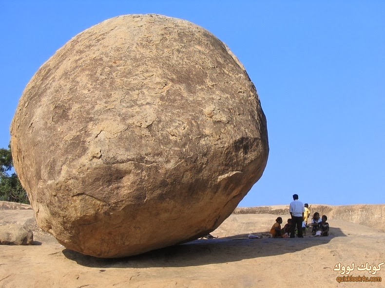 krishnas-butterball-9[2]