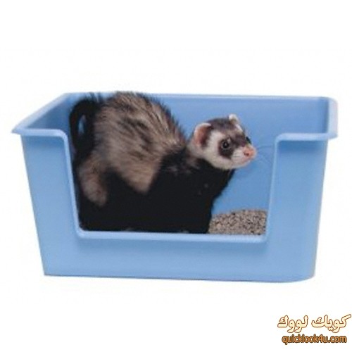 box