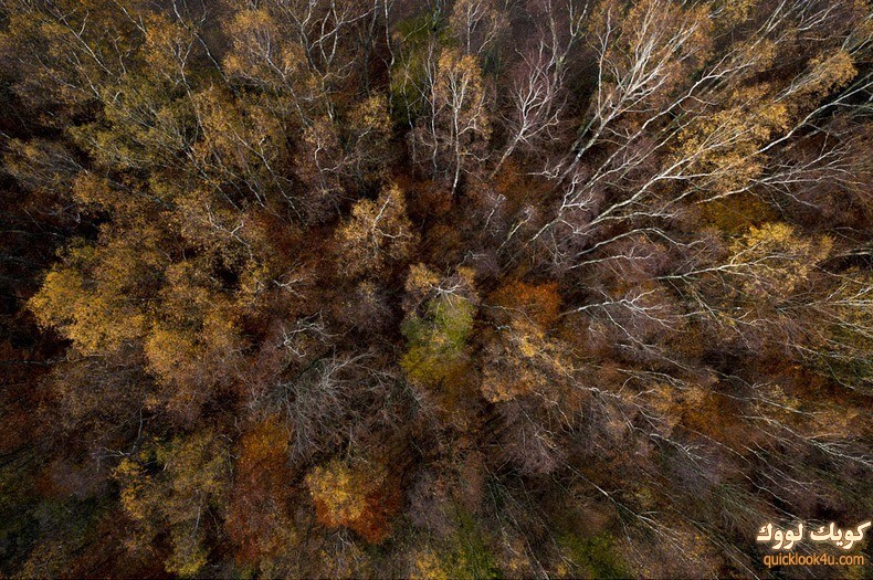 kacper-kowalski-poland-5[2]