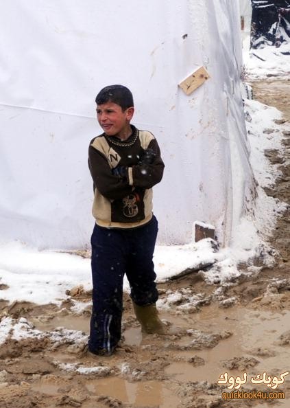 syrian
