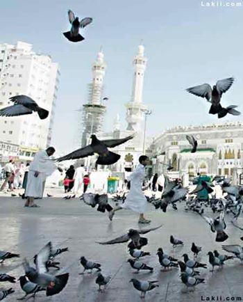 حمام_الحرم