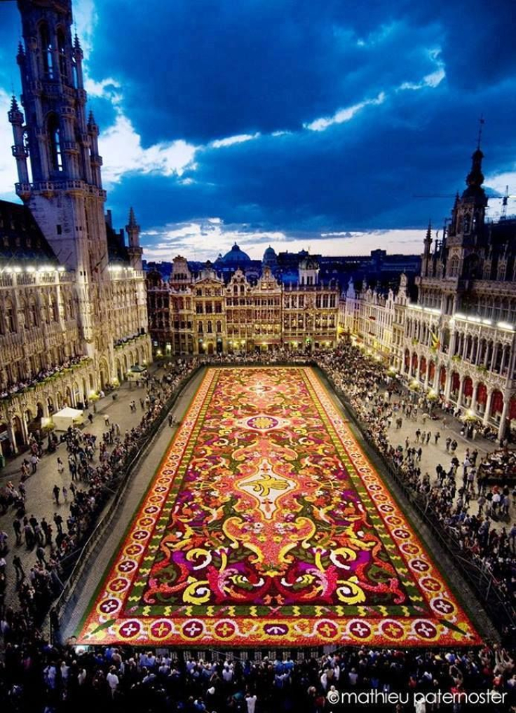 Carpet-Of-Flowers-Brussels-Belgium