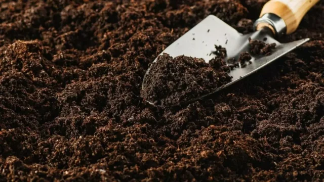طرق تحسين التربة
