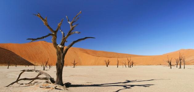 تعريف الجفاف