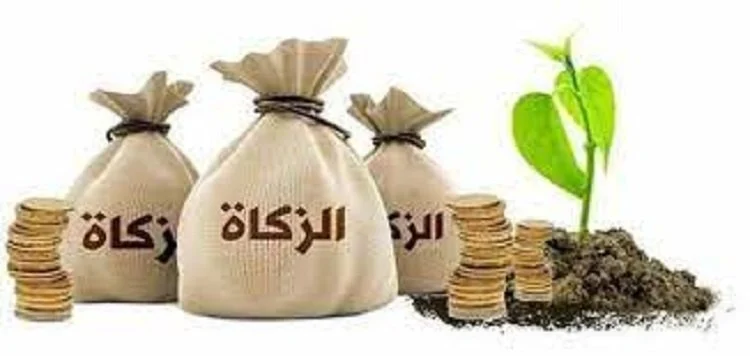 أنواع الزكاة
